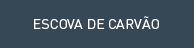 Escovas de Carv&atilde;o